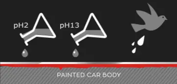 Dustbusters Auto Detailing - Ceramic Coatings - How it Works - Red Deer, Alberta