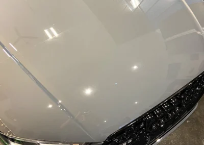 Dustbusters - Auto Detailing - Services - XPEL Paint Protection Film - Red Deer, Alberta