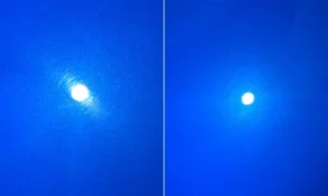 dustbusters paint correction polishing homepage services background image reddeer.jpg